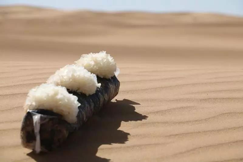 【每周優(yōu)品】世界上的第一朵沙漠銀耳，了解下！