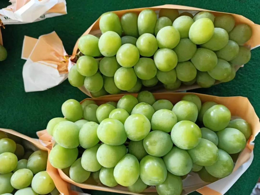 【每周優(yōu)品】“一果紅”——一個(gè)讓你更舒心的果蔬生鮮購(gòu)銷體驗(yàn)平臺(tái)！