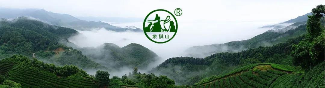 【每周優(yōu)品】原始生態(tài)，自然有機——象棋山有機茶