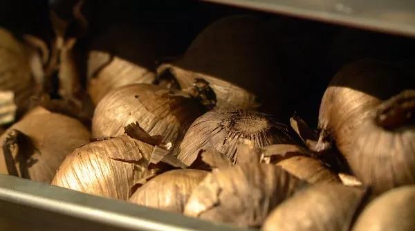 【每周優(yōu)品】揭開河源忠信鎮(zhèn)“黑蒜”的神秘面紗，來(lái)嘗嘗忠仁黑蒜