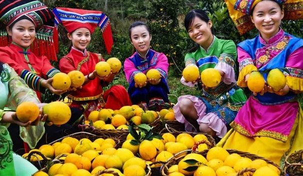 【每周優(yōu)品】一不小心就愛上了它，想不到你是這樣的德保臍橙?。?！