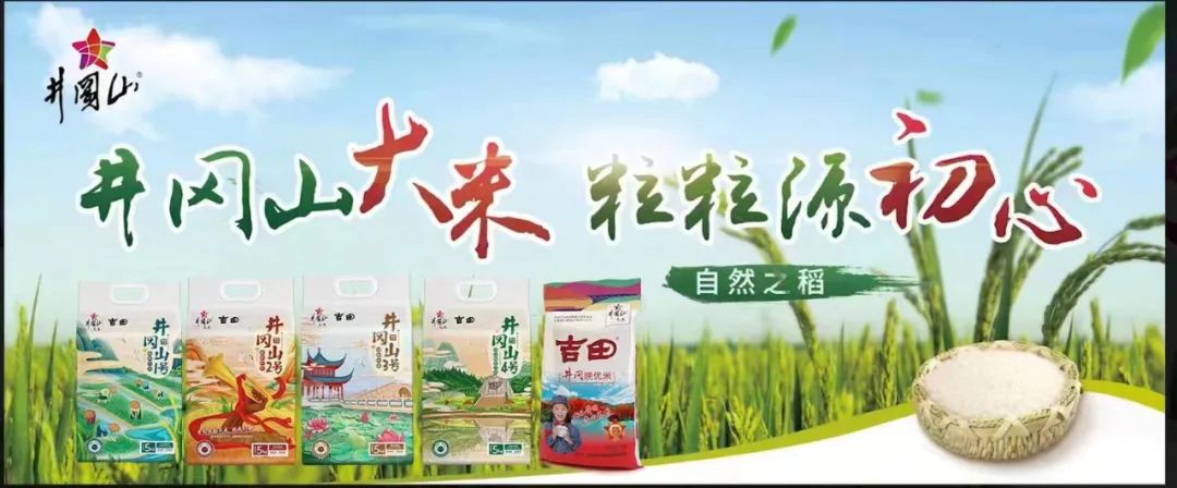 【每周優(yōu)品】在珍稀紅粘沙土中生長，以山泉水灌溉，質(zhì)地雪白明亮，口感香甜松軟的井岡山大米