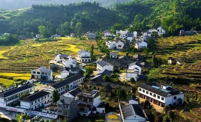 【農(nóng)業(yè)資訊】未來(lái)已來(lái)！鄉(xiāng)村振興的意義和未來(lái)發(fā)展