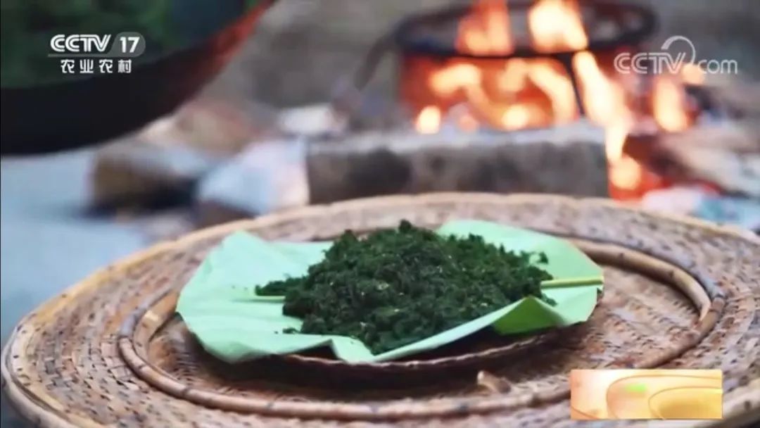 【綠色好心情】別拿青苔不當(dāng)美食！絕對(duì)夠鮮、夠野、夠特別